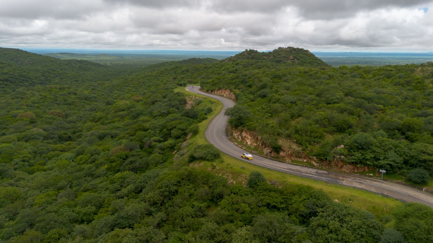 A yellow and white VW ID bus is driving on a country road through lush green nature