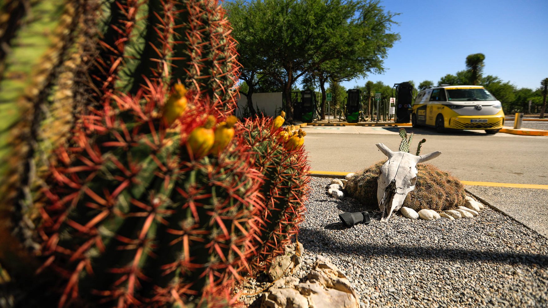 Cactus with red spikes in the front, dead animal skull on gravel ground in the middle and yellow ID buzz vehicle in the background